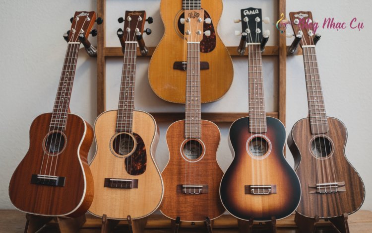 Top 5 Hãng Ukulele Nổi Tiếng Thế Giới