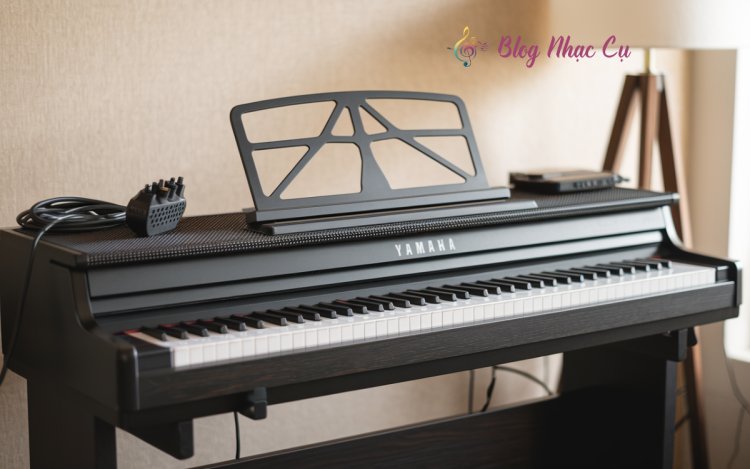 Các Loại Đàn Piano Điện Phổ Biến Hiện Nay