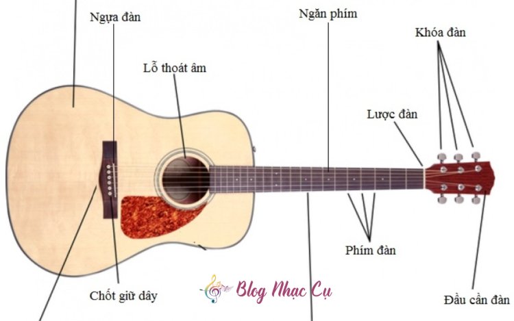 Cấu Tạo Đàn Guitar: Những Điều Bạn Cần Biết Khi Mua Đàn