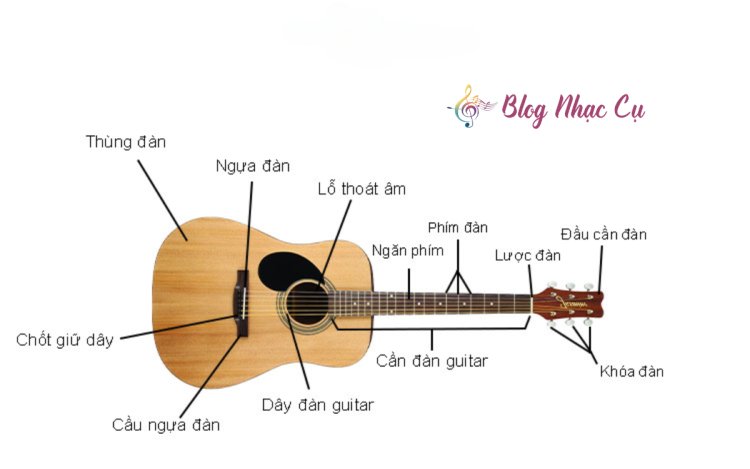 Cấu Tạo Đàn Guitar: Những Điều Bạn Cần Biết Khi Mua Đàn