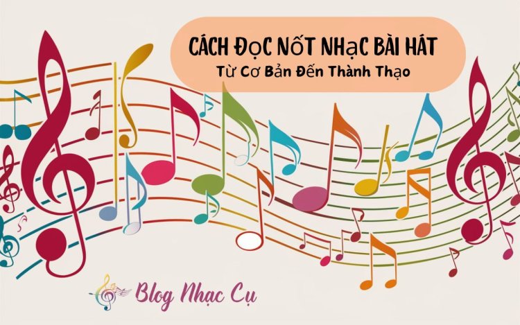 Cách Đọc Nốt Nhạc Bài Hát: Từ Cơ Bản Đến Thành Thạo