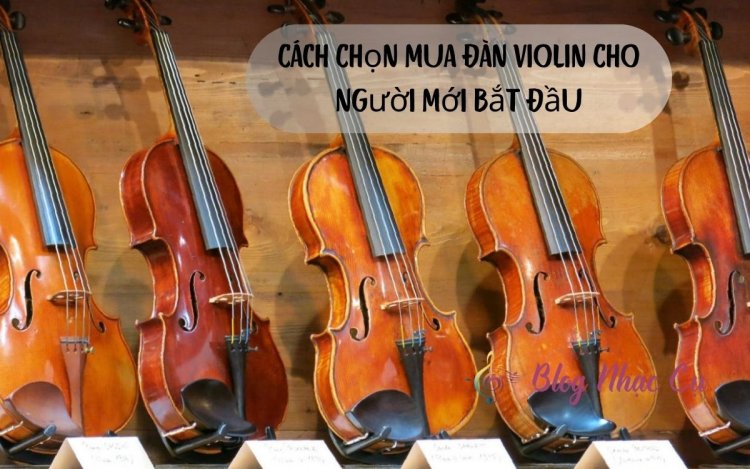 Cách Chọn Mua Đàn Violin Cho Người Mới Bắt Đầu