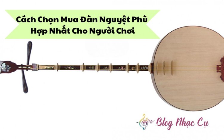 Cách Chọn Mua Đàn Nguyệt Phù Hợp Nhất Cho Người Chơi