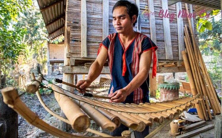 Đàn T’rưng Là Gì? Khám Phá Âm Thanh Huyền Thoại Của Tây Nguyên