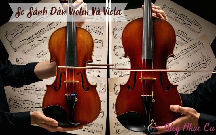 So Sánh Đàn Violin Và Viola – Đâu Là Sự Khác Biệt?